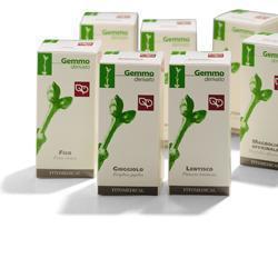 BETULLA PUBESCENS MACERATO GLICERICO 50 ML