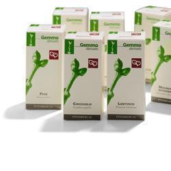 RIBES NERO MACERATO GLICERICO 100 ML