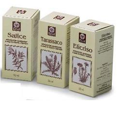 OLIO GERME GRANO 100 ML 501