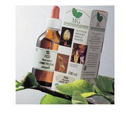 MIRTILLO RO MACERATO GLICERICO 100 ML