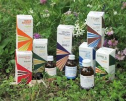 RAEMIL N1 AVENA COMPOSTO 25 ML