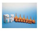 SCHIZZETTO GOMMA 1 25 ML