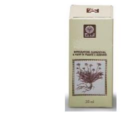 EQUISETO ESTRATTO ANALCOLICO 50 ML ARTICOLO 794