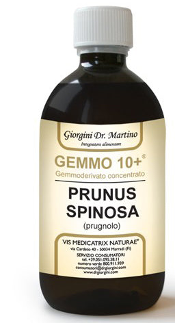 GEMMO 10+ PRUGNOLO 500 ML LIQUIDO ANALCOLICO