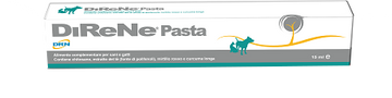 DIRENE PASTA 15 ML