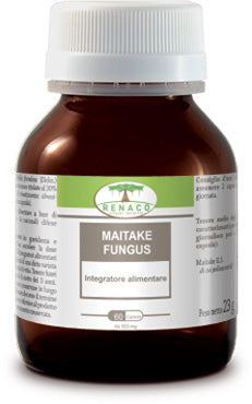 MAITAKE FUNGUS 60 CAPSULE