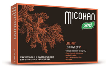 MICOSAN ENERGY 40 CAPSULE 19 G