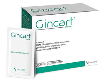 GINCART 18 BUSTINE