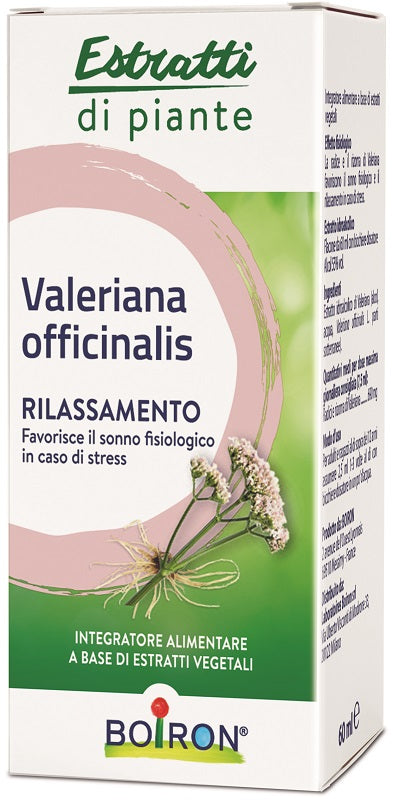 VALERIANA OFFICINALIS ESTRATTO IDROALCOLICO 60 ML INT