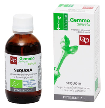 MACERATO GLICERINATO SEQUOIA BIO 50 ML