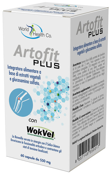ARTOFIT PLUS 60 CAPSULE