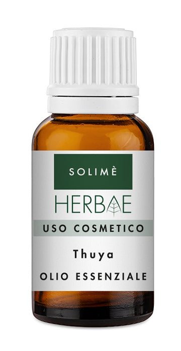 THUYA OLIO ESSENZIALE 10 ML
