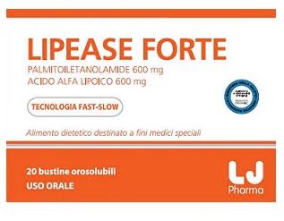 LIPEASE FORTE 20 STICK PACK MONODOSE
